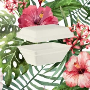 vaschetta compostabile gelato monouso