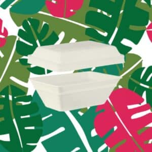 vaschetta compostabile gelato usa e getta