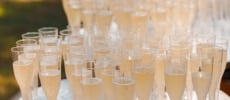 Bicchieri da vino
