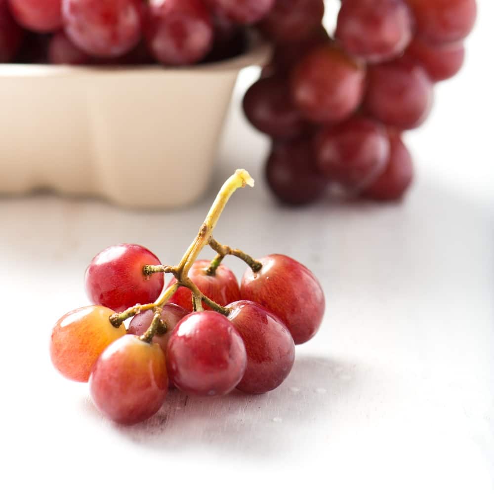 Uva per bicchiere vino compostabile