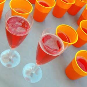Bicchieri da vino compostabili
