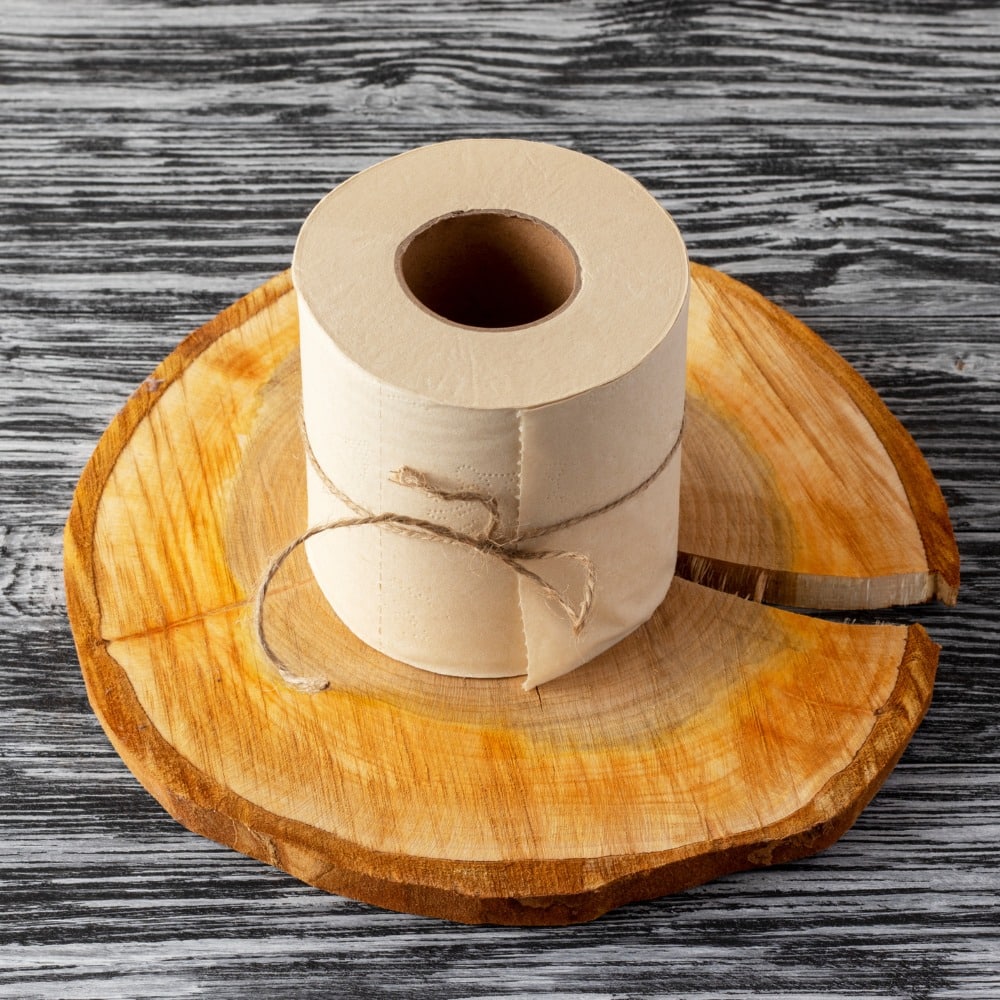 vaschetta per gelato a basso impatto ambientale
