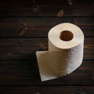 carta igienica 2 veli ecolabel