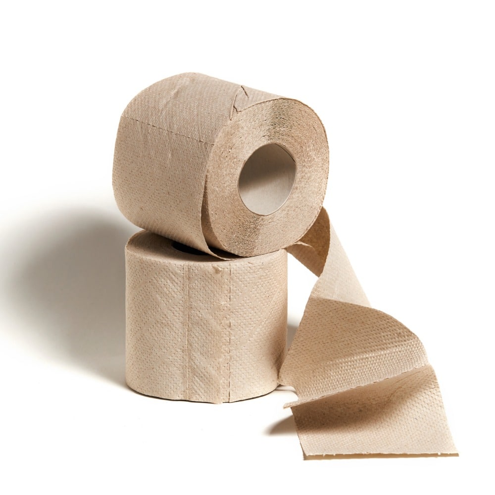 carta igienica 2 veli ecolabel