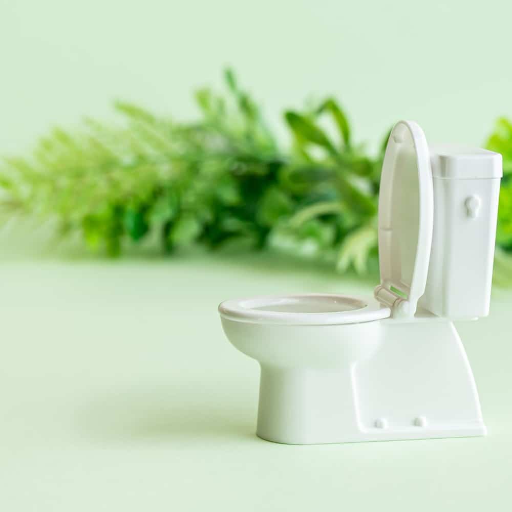 detergente per wc