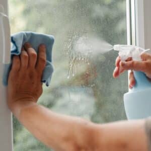 Detergente vetri ecolabel