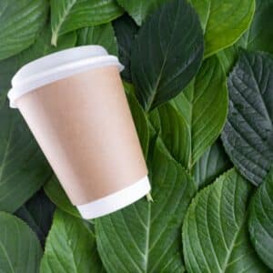 Bicchiere compostabile in cartoncino