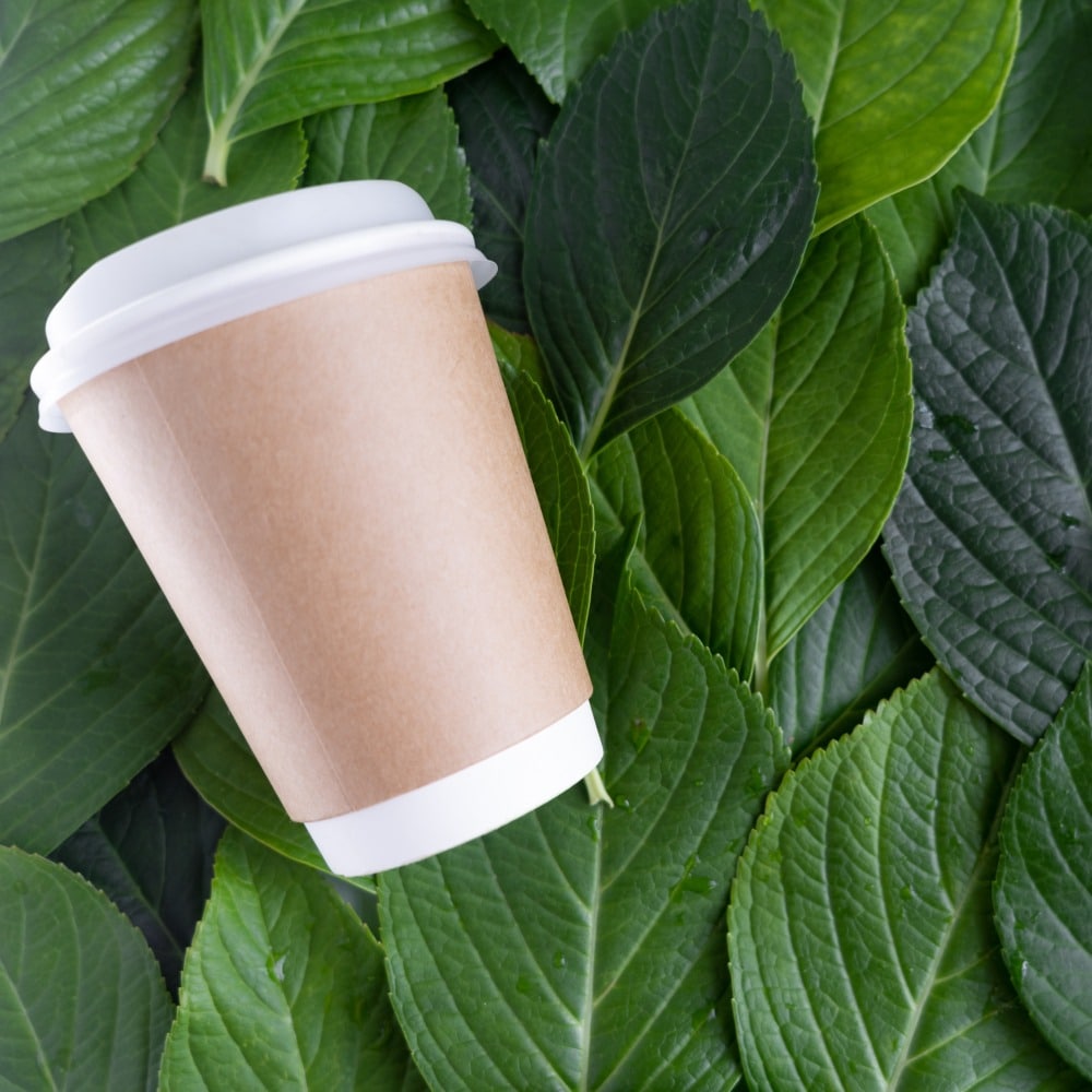 Bicchiere compostabile in cartoncino
