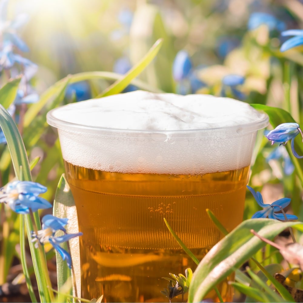 Bicchieri birra ecologici