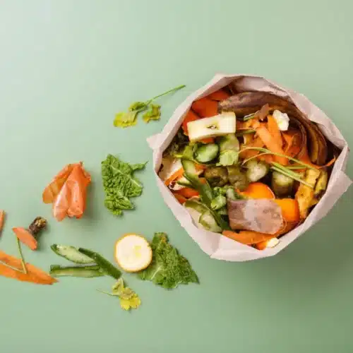 Sacchetti per umido in carta compostabili