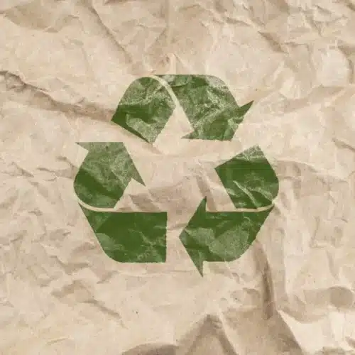 Sacchetti per umido in carta ecologici