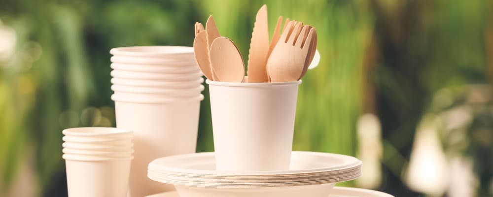 Kit stoviglie monouso compostabile