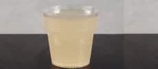 Bicchieri shottini biodegradabili
