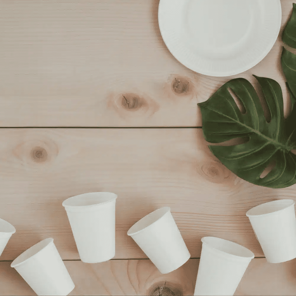 Bicchieri compostabili personalizzati per caffè ecologici