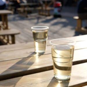 bicchieri per vino ecologici