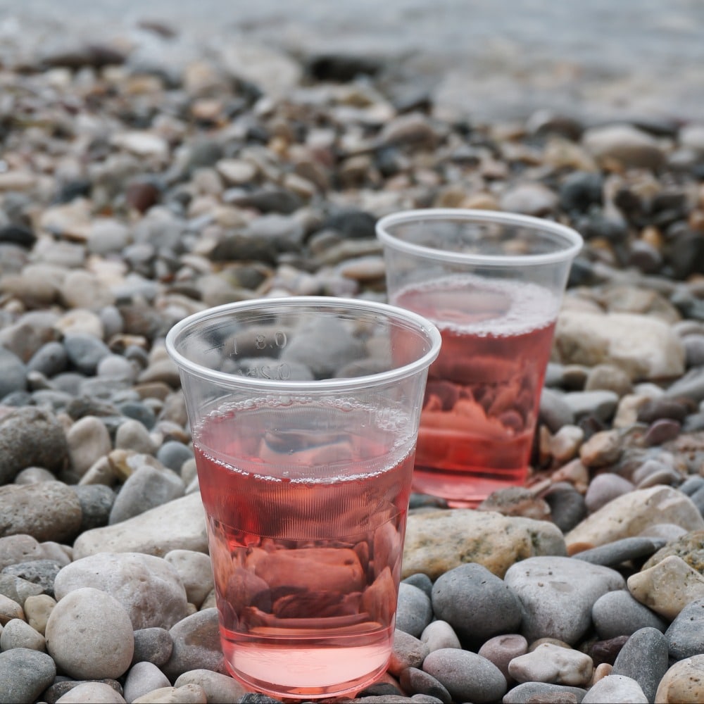 bicchieri vino biodegradabili