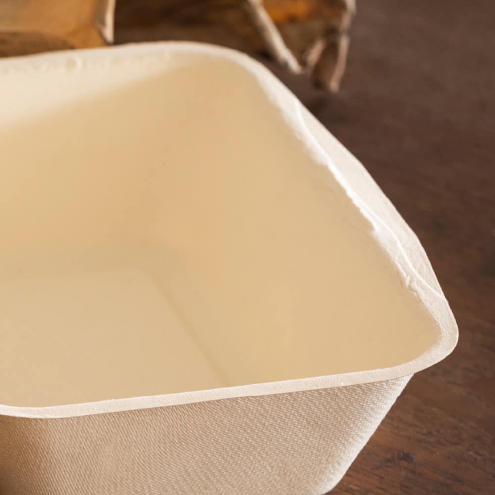 piatti con coperchio in polpa biodegradabili