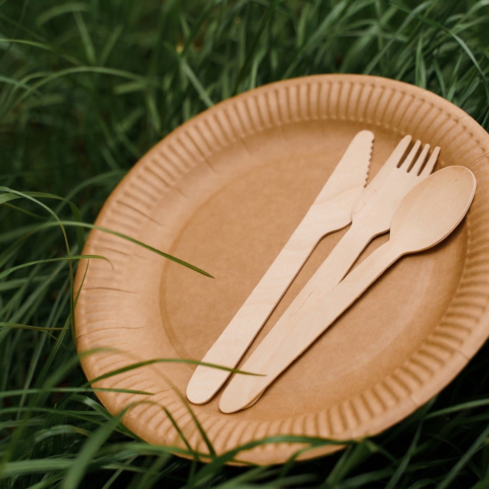 piatti di carta avana ecologici
