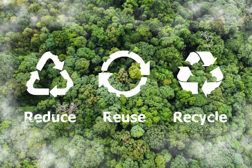 istruzioni chiare sull'utilizzo corretto dei prodotti monouso compostabili per attività