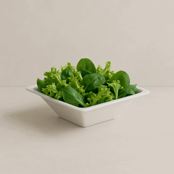 Bols carrés écologiques et compostables 16 cm 100 pcs – Image 3
