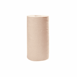 Papier essuie-tout recyclé Havana 2 plis - Paquet de 2 rouleaux écologiques