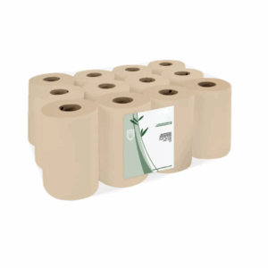 Rouleaux essuie-tout écologiques 2 plis 160 feuilles avana.