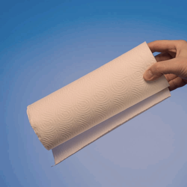 Papier absorbant compostable en rouleau, certifié UNI EN 13432.