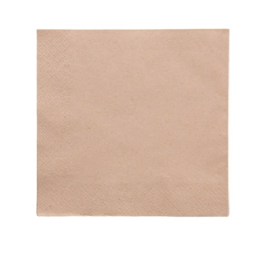 Serviette en papier 1 pli recyclé avec distributeur